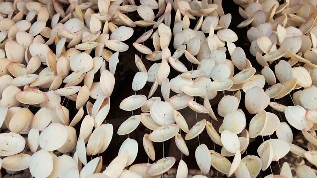 Curtains made of seashells