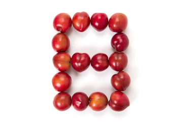 Obraz premium プラム