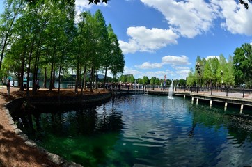 Pond in Orlando