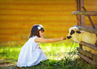 cute girl, kid feeding lamb with grass, countryside © Olesia Bilkei
