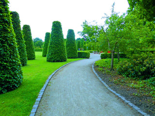 Obraz premium Park in the summer.Flowers and plants - closeup