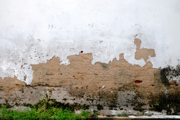 Old cement wall until color peel off