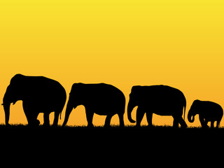 Fototapeta na wymiar African background with elephants