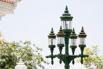 Green lamps and tree