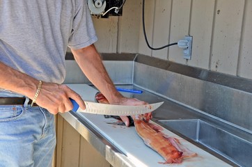 Man cleaning a salmon at fish cleaning station