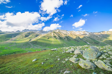 Grass in Valley