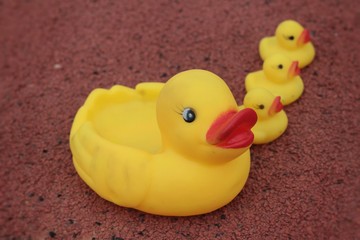 Lovely of yellow rubber duck and tools.