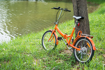 Fototapeta na wymiar orange folding bicycles in park