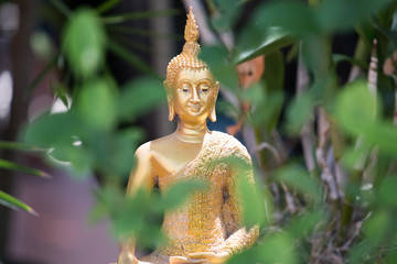 Buddha statue in thai temple