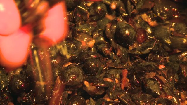 Main v&eacute;rifie la fermentation