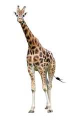 Papier peint photo autocollant rond Girafe girafe isolé sur fond blanc