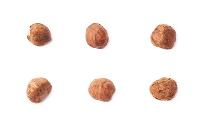 Single hazelnut isolated