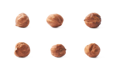 Single hazelnut isolated