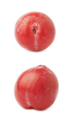 Single red victoria plum isolated