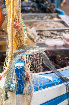 Close up view of a fishing net on the boat of a fish seller in the public fish market of Catania