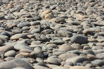Gravel bed of the river bed
