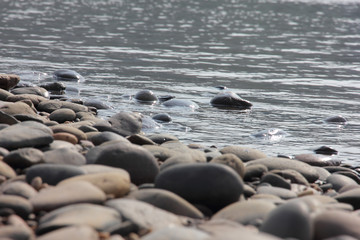 Gravel bed of the river bed.