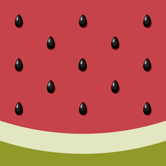 Watermelon Background. Vector food background seed texture. Elements for design.