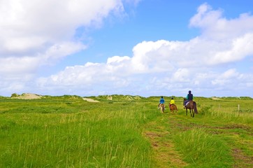 Fototapeta premium Reiter in den Dünen an der Nordsee