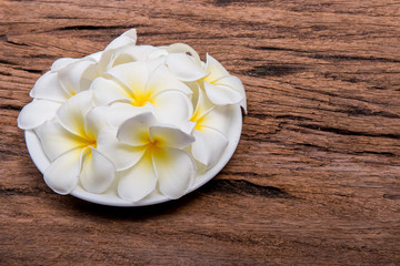 Plumeria flowers on  plate on wooden
