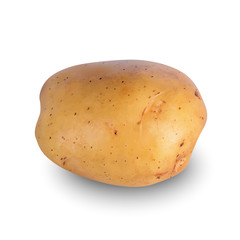 Potato on a white
