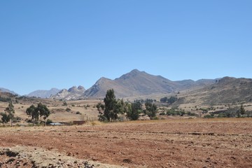 Altiplano.Bolivia