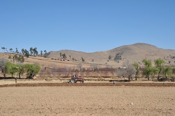 Altiplano.Bolivia