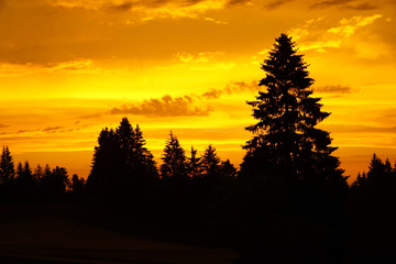 Wundersch&ouml;ner Sonnenuntergang &uuml;ber dem Schwarzwald
