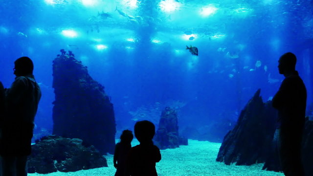 Kids at the Oceanarium