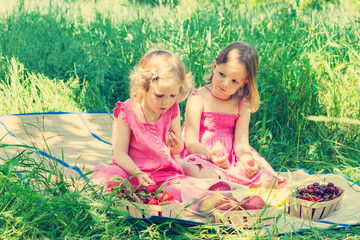 Small cute funny girls (sisters) at the picnic. The image is tin