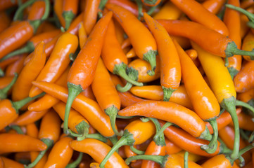 Fresh Red Chili Peppers on Display at Farmers Market