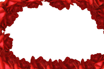 рамка из красных роз изолирована на белом