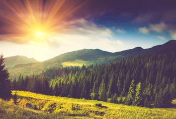 Poster Beautiful summer mountain landscape at sunshine. © vovik_mar