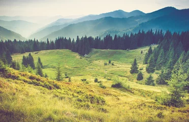 Fotobehang Mooie zomerse berglandschap. © vovik_mar