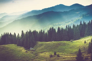 Foto op Plexiglas Mooie zomerse berglandschap. © vovik_mar