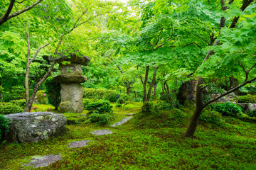京都　圓光寺　日本庭園