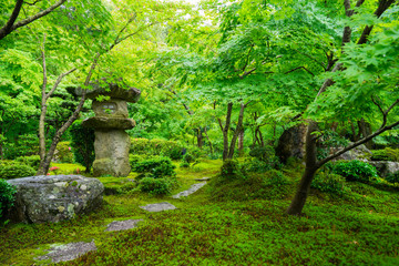 Obraz premium 京都 圓光寺 日本庭園