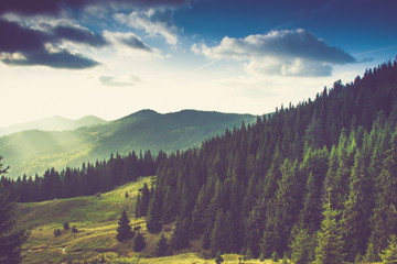 Obraz premium Piękny letni krajobraz górski.