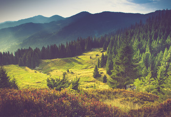 Beautiful summer mountain landscape at sunshine.