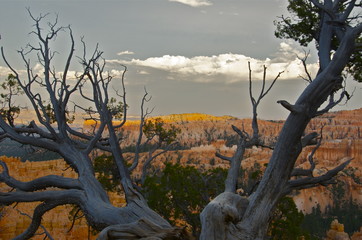 sunset at bryce canyon