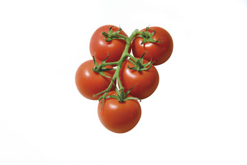 tomatoes