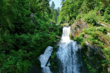 Fototapeta na wymiar Der Wasserfall in Triberg im Schwarzwald - 5