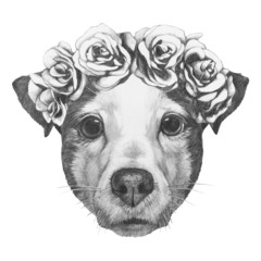 Original drawing of Jack Russell with floral head wreath. Isolated on white background.