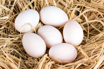 Fresh Duck white organic eggs on straw.