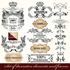 Vector set of calligraphic elements for design. Calligraphic vec
