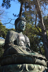 Fototapeta premium 中山法華経寺の大仏