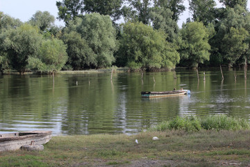 river Dunav, Novi Sad Serbia