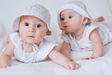 Funny twins sisters babies