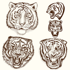 Vector set of hand drawn tattoo with tiger animals