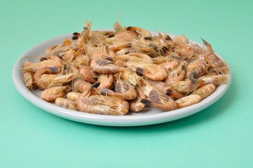 Common Shrimp